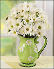 DAISY GARDEN