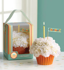 BIRTHDAY CUPCAKE
