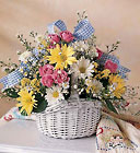 Breath Of Fresh Daisy's