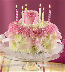 BIRTHDAY CAKE CELEBRATION Cottage Florist Lakeland Fl 33813 Premium Flowers lakeland
