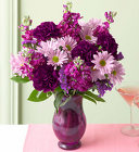 Plum Crazy