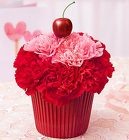 CUPCAKE BLOOMS