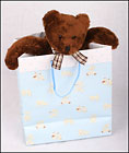 A Creative Gift for Baby