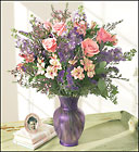 Lavendar Splender