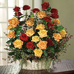 Rose Remembrance