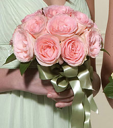 Simply Pink Roses Bouquet Cottage Florist Lakeland Fl 33813 Premium Flowers lakeland