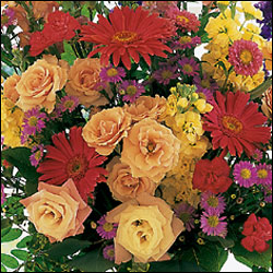 Custom Design Get Well Vase Arrangement Cottage Florist Lakeland Fl 33813 Premium Flowers lakeland