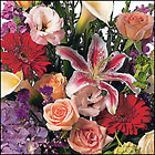 Custom Designed Sympathy Spray Cottage Florist Lakeland Fl 33813 Premium Flowers lakeland