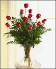 Classic Red Roses