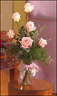 Soft Pink Roses