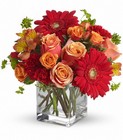 Santa Fe Sunset Bouquet by Teleflora Cottage Florist Lakeland Fl 33813 Premium Flowers lakeland