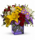 /images/telsg10/T504-1Alg.jpg Stir Things Up Bouquet by Teleflora
