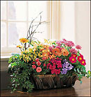 Deluxe European Garden Basket