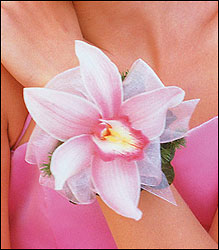 Pink Orchid Wristlet Cottage Florist Lakeland Fl 33813 Premium Flowers lakeland