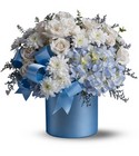 /images/telwhite03/08N440Blg.jpg Baby Blue Premier Flowers from Cottage Florist, Lakeland Fl 33813