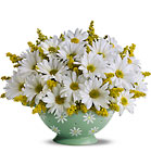 Sweet Daisy Colander