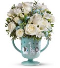 /images/telwhite03/09N220Blg.jpg MiGi's Baby Circus Bouquet Deluxe in Blue Premier Flowers from Cottage Florist, Lakeland Fl 33813