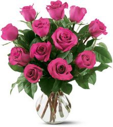 12 Hot Pink Roses Cottage Florist Lakeland Fl 33813 Premium Flowers lakeland