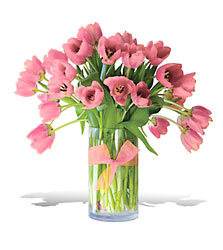 Precious Pink Tulips - Premium Cottage Florist Lakeland Fl 33813 Premium Flowers lakeland