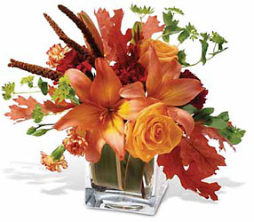Orange Spice Cottage Florist Lakeland Fl 33813 Premium Flowers lakeland
