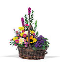 Basket of Glory Cottage Florist Lakeland Fl 33813 Premium Flowers lakeland