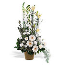 /images/telwhite03/tf194-2lg.jpg White Impressions Premier Flowers from Cottage Florist, Lakeland Fl 33813