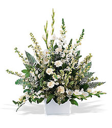 White Expressions Basket Cottage Florist Lakeland Fl 33813 Premium Flowers lakeland