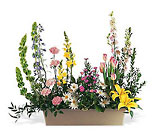 Springtime Splendor Premier Flowers from Cottage Florist, Lakeland Fl 33813
