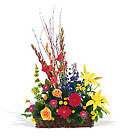 Sunshine Basket