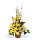 Brighter Blessings Arrangement Cottage Florist Lakeland Fl 33813 Premium Flowers lakeland