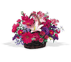 Joyous Birthday Basket Cottage Florist Lakeland Fl 33813 Premium Flowers lakeland