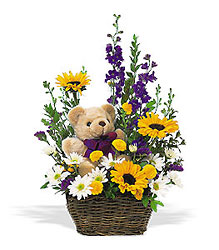 New Baby Basket & Bear Cottage Florist Lakeland Fl 33813 Premium Flowers lakeland