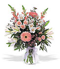 /images/telwhite03/tf48-2lg.jpg New Baby Girl Arrangement Premier Flowers from Cottage Florist, Lakeland Fl 33813