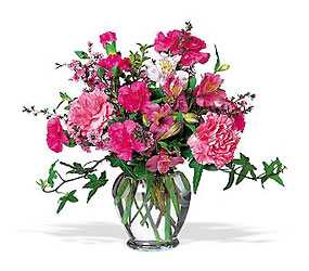 Cheerful Carnations Cottage Florist Lakeland Fl 33813 Premium Flowers lakeland