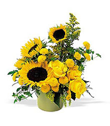 A Pot of Sunflowers Cottage Florist Lakeland Fl 33813 Premium Flowers lakeland