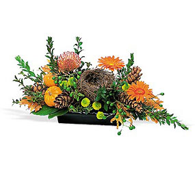 Visions of Autumn Centerpiece Cottage Florist Lakeland Fl 33813 Premium Flowers lakeland