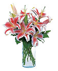 Lovely Lilies