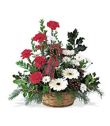Winter Wonderland Basket Cottage Florist Lakeland Fl 33813 Premium Flowers lakeland