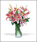 Lovely Lilies