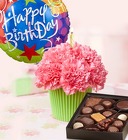 CupCake Birthday Bundle Cottage Florist Lakeland Fl 33813 Premium Flowers lakeland