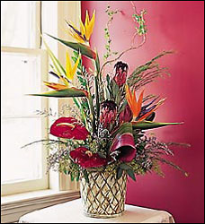 Tropical Delight Cottage Florist Lakeland Fl 33813 Premium Flowers lakeland