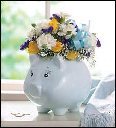 Baby  Boy Piggy Bank Bouquet Cottage Florist Lakeland Fl 33813 Premium Flowers lakeland