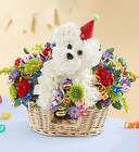 Happy Birthday Pup Cottage Florist Lakeland Fl 33813 Premium Flowers lakeland