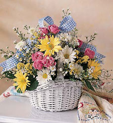 Breath Of Fresh Daisy's Cottage Florist Lakeland Fl 33813 Premium Flowers lakeland