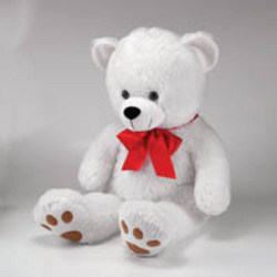 Large  Bear Cottage Florist Lakeland Fl 33813 Premium Flowers lakeland