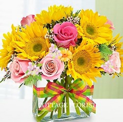 FRESH DELIGHT Cottage Florist Lakeland Fl 33813 Premium Flowers lakeland