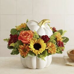 Autumn White Pumpkin™ Cottage Florist Lakeland Fl 33813 Premium Flowers lakeland