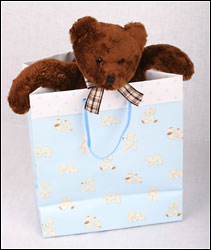 A Creative Gift for Baby Cottage Florist Lakeland Fl 33813 Premium Flowers lakeland
