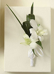 White Orchid Boutonniere Cottage Florist Lakeland Fl 33813 Premium Flowers lakeland