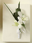  Cottage Florist Lakeland Fl 33813 Premium Flowers lakeland